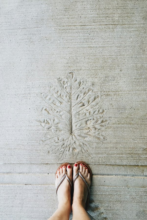 Which coastal paths in Dorset are best for fossil hunting guided tours?